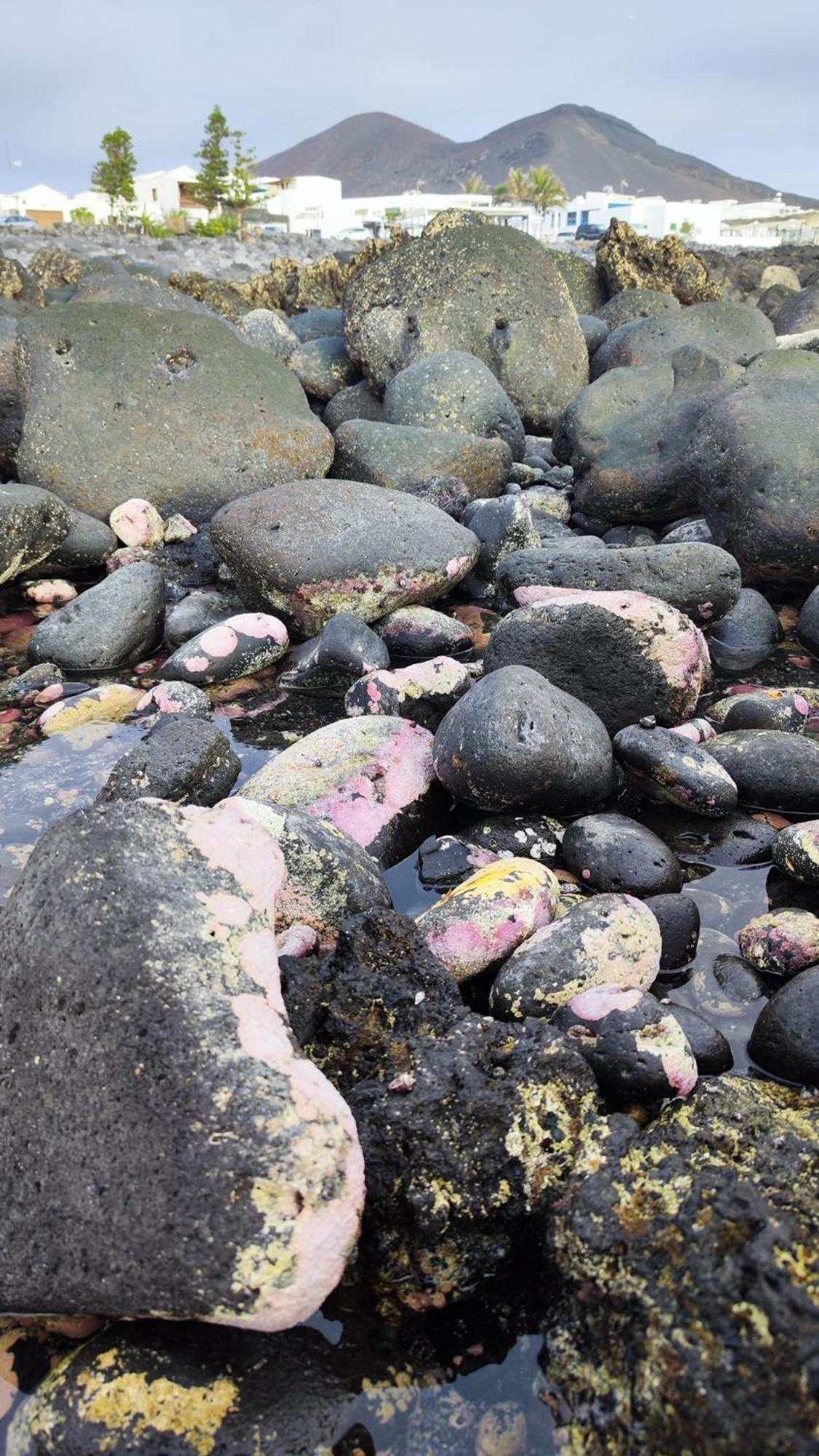 Casa La Caracola Daire El Golfo Dış mekan fotoğraf